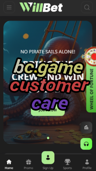 BC.Game Customer Care & Support-vz72fvrf.com