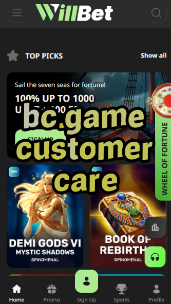 BC.Game Customer Care & Support-vz72fvrf.com