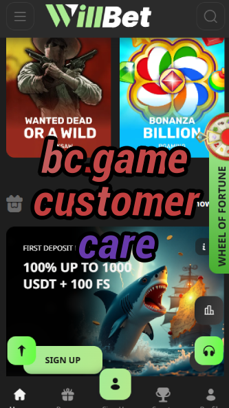 BC.Game Customer Care & Support-vz72fvrf.com