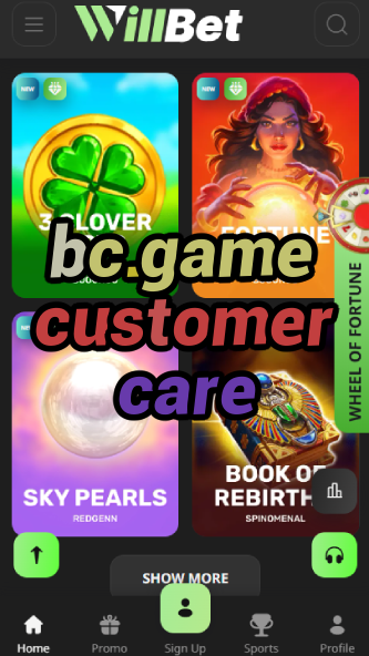 BC.Game Customer Care & Support-vz72fvrf.com